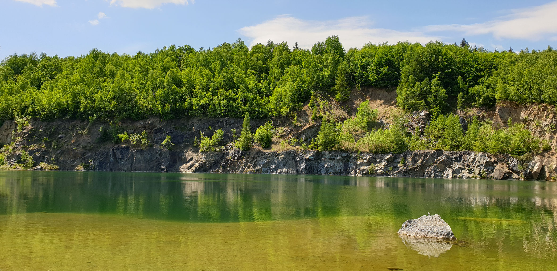 Wooded shore at the quarry lake