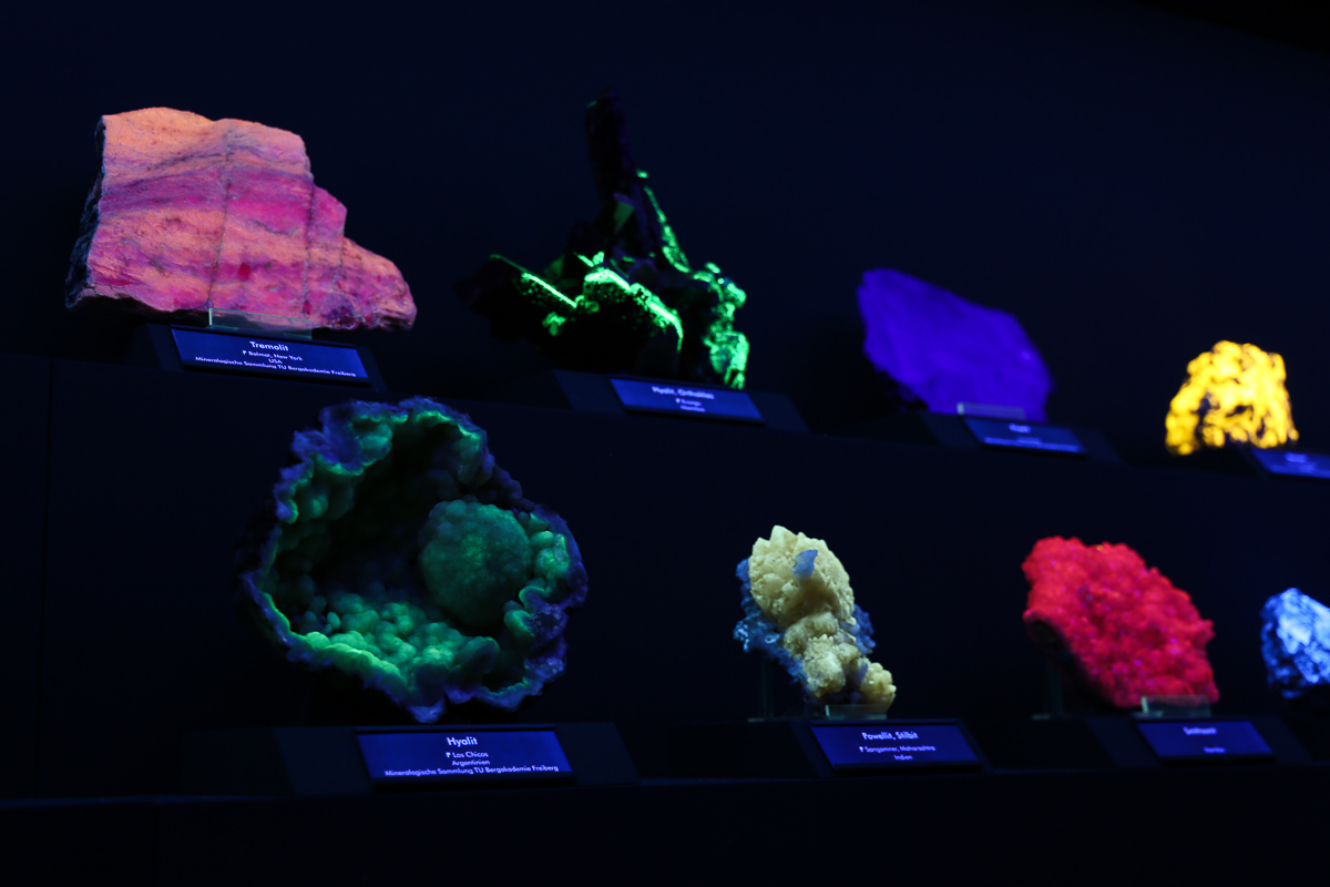 Floureszierende Minerale angestrahlt in einer Vitrine