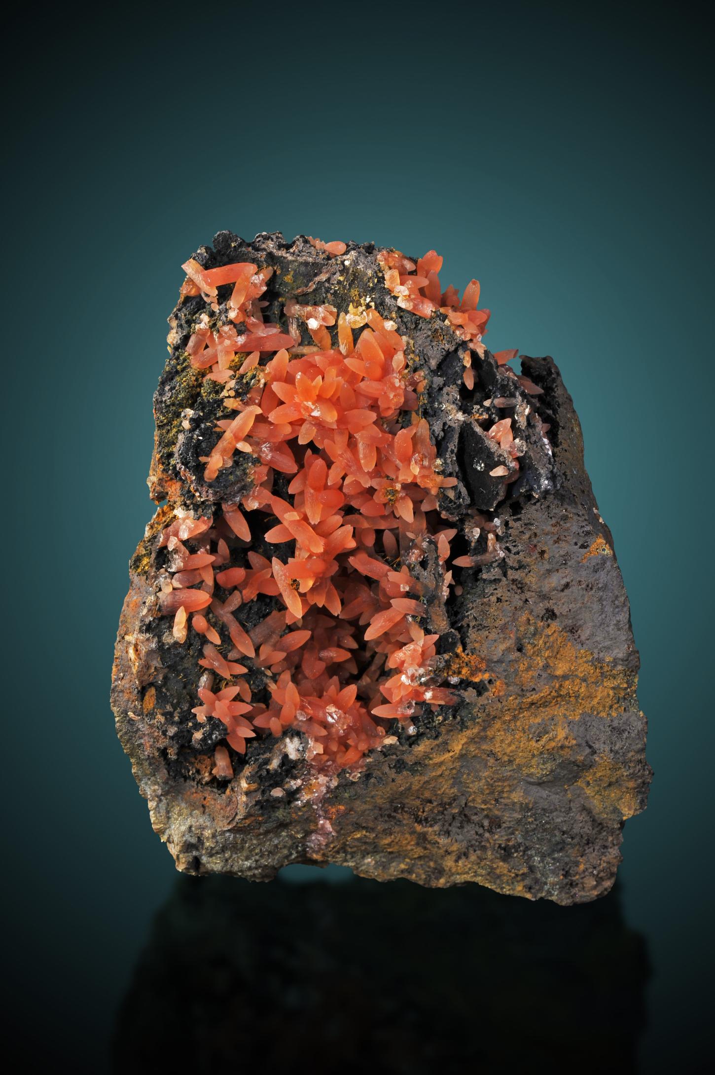 kleine orangerote Rhodochrositkristalle in Form von spitz zulaufenden kurzen Stäbchen sind teils wie Blütenblätter angeordnet auf einer dunkelschwarzen Matrix