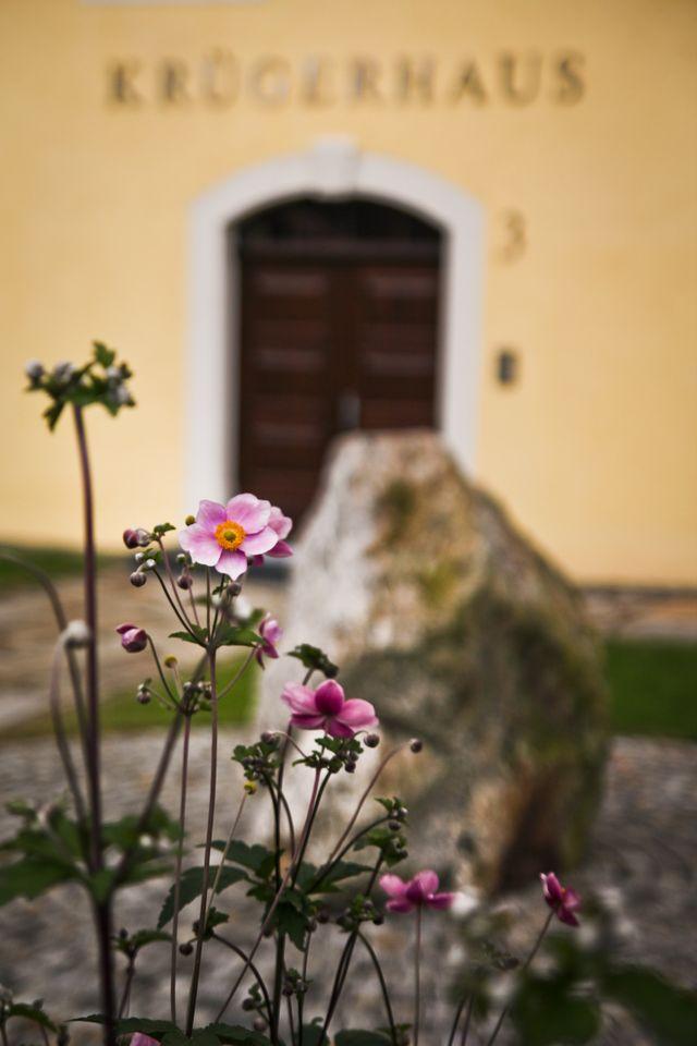 Topas-Fels vom Schneckenstein im Garten des Krügerhauses.