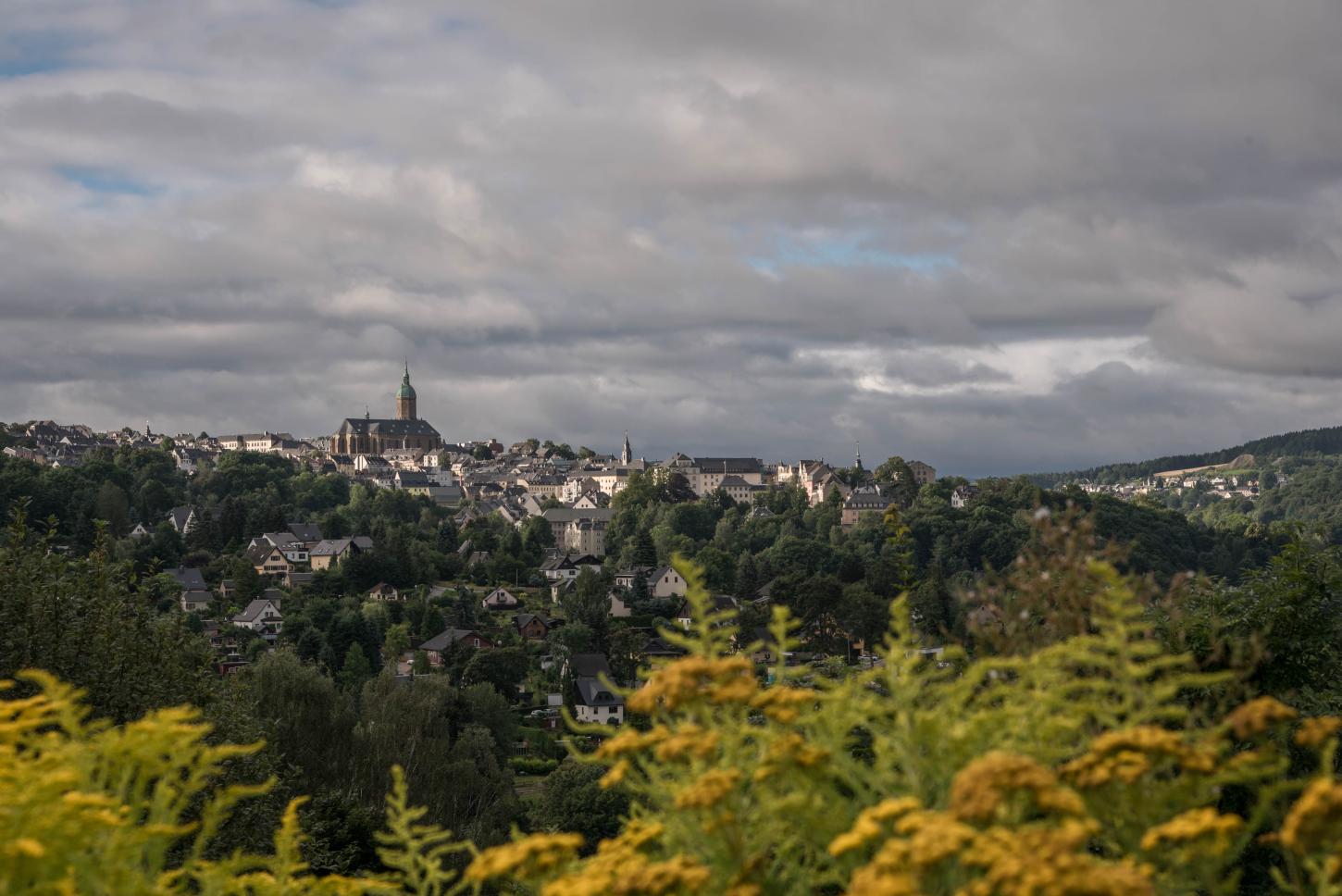 Annaberg im Hintergrund, die Silouette der Stadt ist zu sehen. Im Vordergrund ist Wald. Der Himmel ist bewölkt.