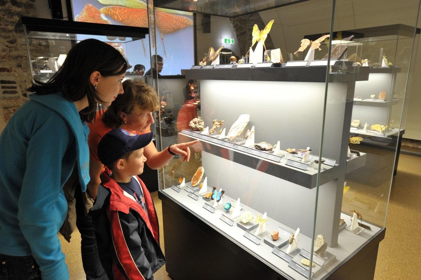 Zwei Damen stehen mit einem Jungen vor einer Vitrine der Sonderausstellung "Fliegende Juwelen". Zu sehen sind Falter, deren Farben und Strukturen eine große Ähnlichkeit mit denen der Gesteine aufweisen. In der unteren Vitrinenebene ist unter anderem ein türkisfarbener Stein, dessen Farbton sich im Schmetterling, dessen Flügel türkis-schwarz aussehen, wiederspiegelt.