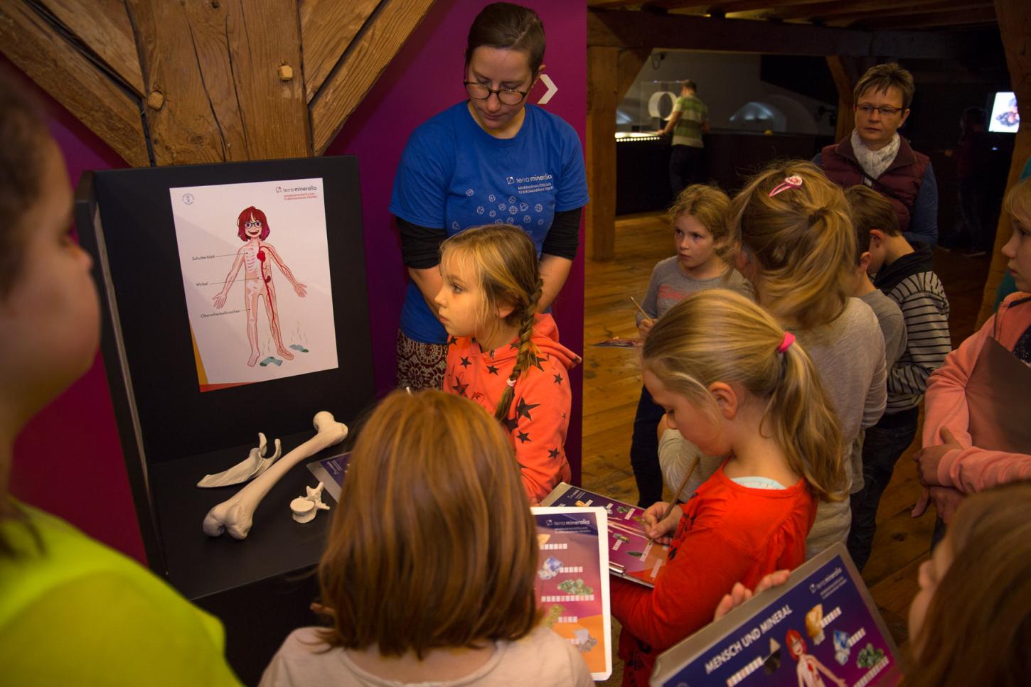 Eine Kindergruppe untersucht in der Ausstellung, welche Minerale in Knochen vorkommen. 